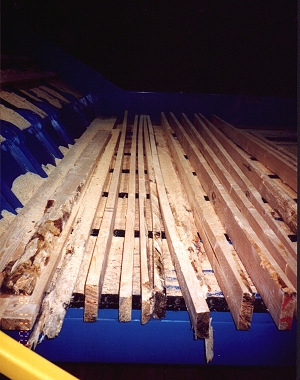 Batard20.jpg (101833 bytes)