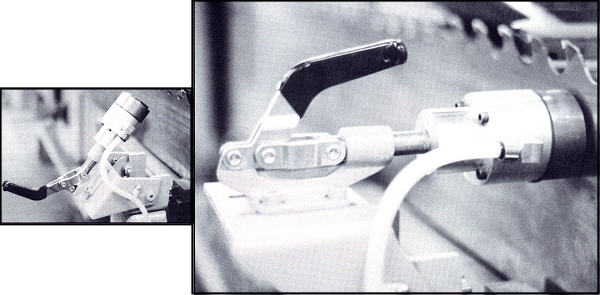 SAIII.gif (128195 bytes)