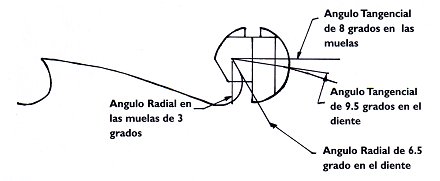 Muestra.jpg (14472 bytes)
